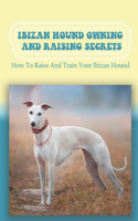 Ibizan Hound Owning And Raising Secrets