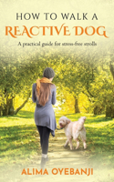 How to walk a reactive dog: A practical guide for stress-free strolls