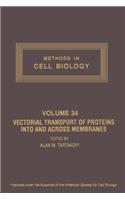 Vectorial Transport of Proteins Into and Across Membranes