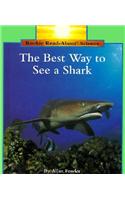 The Best Way to See a Shark