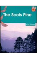The Scots Pine