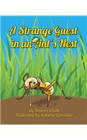 Strange Guest in an Ant's Nest