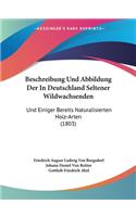 Beschreibung Und Abbildung Der In Deutschland Seltener Wildwachsenden