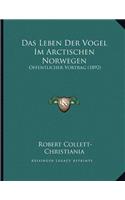 Das Leben Der Vogel Im Arctischen Norwegen