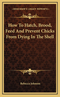 How To Hatch, Brood, Feed And Prevent Chicks From Dying In The Shell