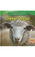Sheep / Las Ovejas