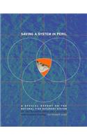Saving a System in Peril