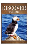 Puffins - Discover