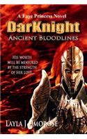 DarKnight