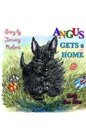 Angus Gets a Home