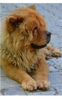 The Chow Chow Dog Journal: 150 page lined notebook/diary