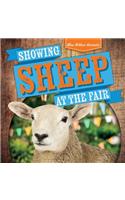 Showing Sheep at the Fair