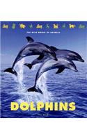 Dolphins