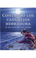 Contando Los Cangrejos Herradura a la Luz de la Luna (Moonlight Crab Count)