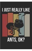 I Just Really Like Ants, OK?: DIN A5 Ameise Notizheft - 120 Seiten kariertes Ameise Notizbuch für Notizen in Schule, Universität, Arbeit oder zuhause. - Eine tolles Geschenk für 