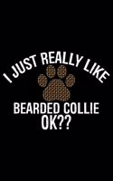 I Just Really Like Bearded Collie Ok?