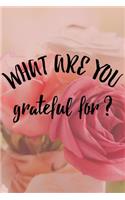 What Are You Grateful For?