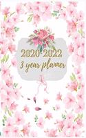 3 Year Planner