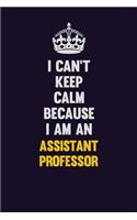 I can't Keep Calm Because I Am An Assistant Professor