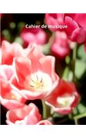 Cahier de musique: Composé de partitions vierges- Papier manuscrit de 120 pages (12 portées chacune)