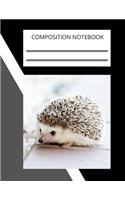 Composition Notebook, Notebooks are important: 110 Ruled Pages (8.5 x 11 in): College Ruled Blank Lined Cute Notebooks for Girls Teens Kids School Writing Notes Journal (8.5 x 11 in)