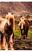 Iceland Horses Notebook