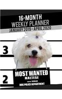 2019-2020 Weekly Planner - Most Wanted Maltese: Daily Diary Monthly Yearly Calendar Large 8.5" x 11" Schedule Journal Organizer Notebook Appointment(7 Dog Planners 2019-2020)
