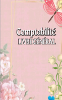 Livre de Comptes pour la Comptabilité
