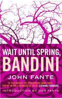 Wait Until Spring, Bandini