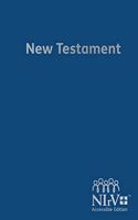 NIRV ACCESSIBLE EDITION NEW TESTAME