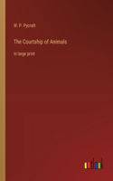 Courtship of Animals