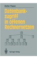 Datenbankzugriff in offenen Rechnernetzen