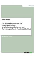 Schock Behinderung. Die Diagnosemitteilung, Verarbeitungsmöglichkeiten und Auswirkungen für die Familie im Überblick