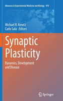Synaptic Plasticity