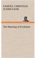 The Meaning of Evolution