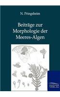 Beiträge zur Morphologie der Meeres-Algen