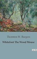 Whitefoot The Wood Mouse