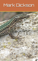 Ibiza Island Lizard as Pet