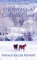 Snowfall at Catoctin Creek