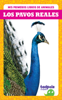 Pavos Reales (Peacocks)