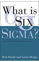 What is Six Sigma?