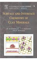 Surface and Interface Chemistry of Clay Minerals