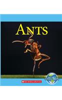 Ants