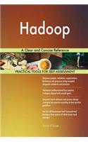 Hadoop A Clear and Concise Reference