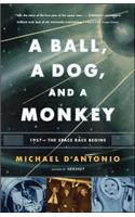 Ball, a Dog, and a Monkey