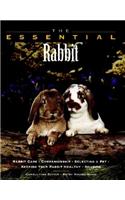 The Essential Rabbit