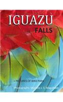 Iguazu Falls