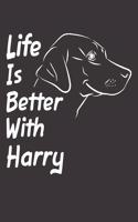 Life Is Better With Harry