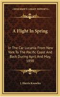 A Flight in Spring