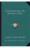 Foundations of Botany (1901)